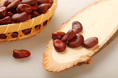 Xbox高管认为Game Pass业务不会颠覆行业模式